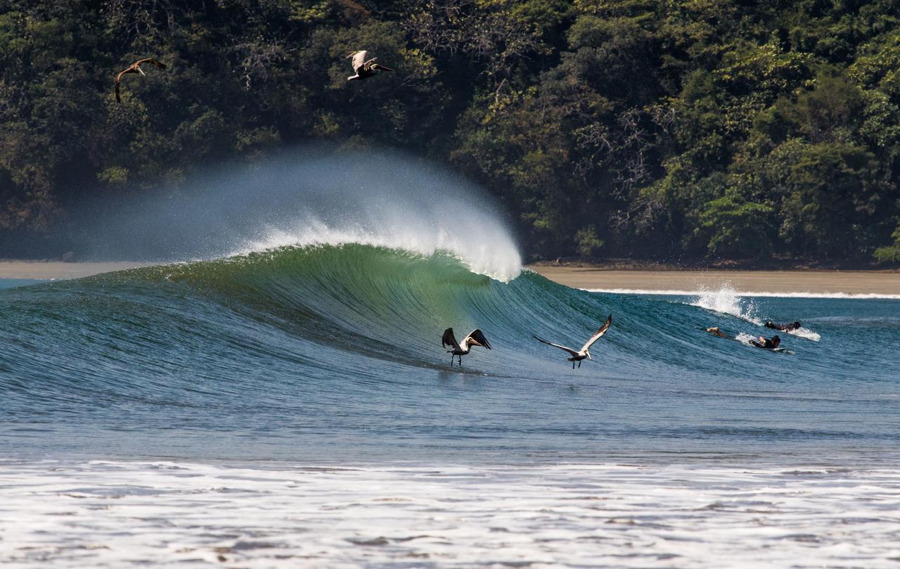 Beach Break Hotel & Surf Camp De Playa Venao Eksteriør bilde